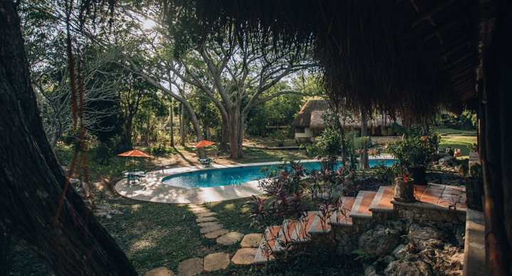 Alberca y jardín tropical del hotel