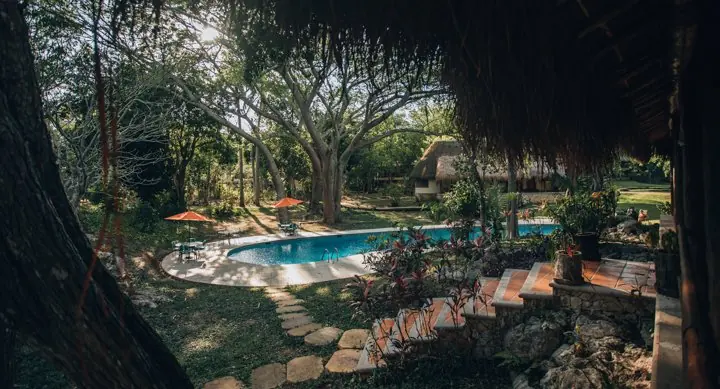 Pool and tropical garden at the hotel