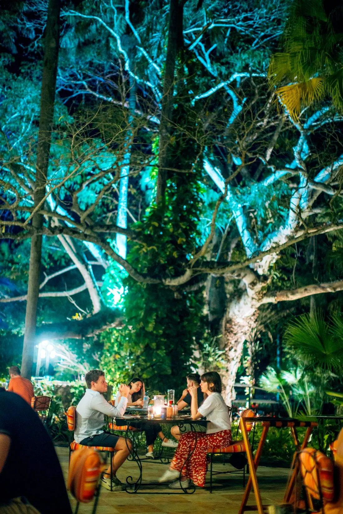 Outdoor dinner in the gardens of El Gran Maya, at night